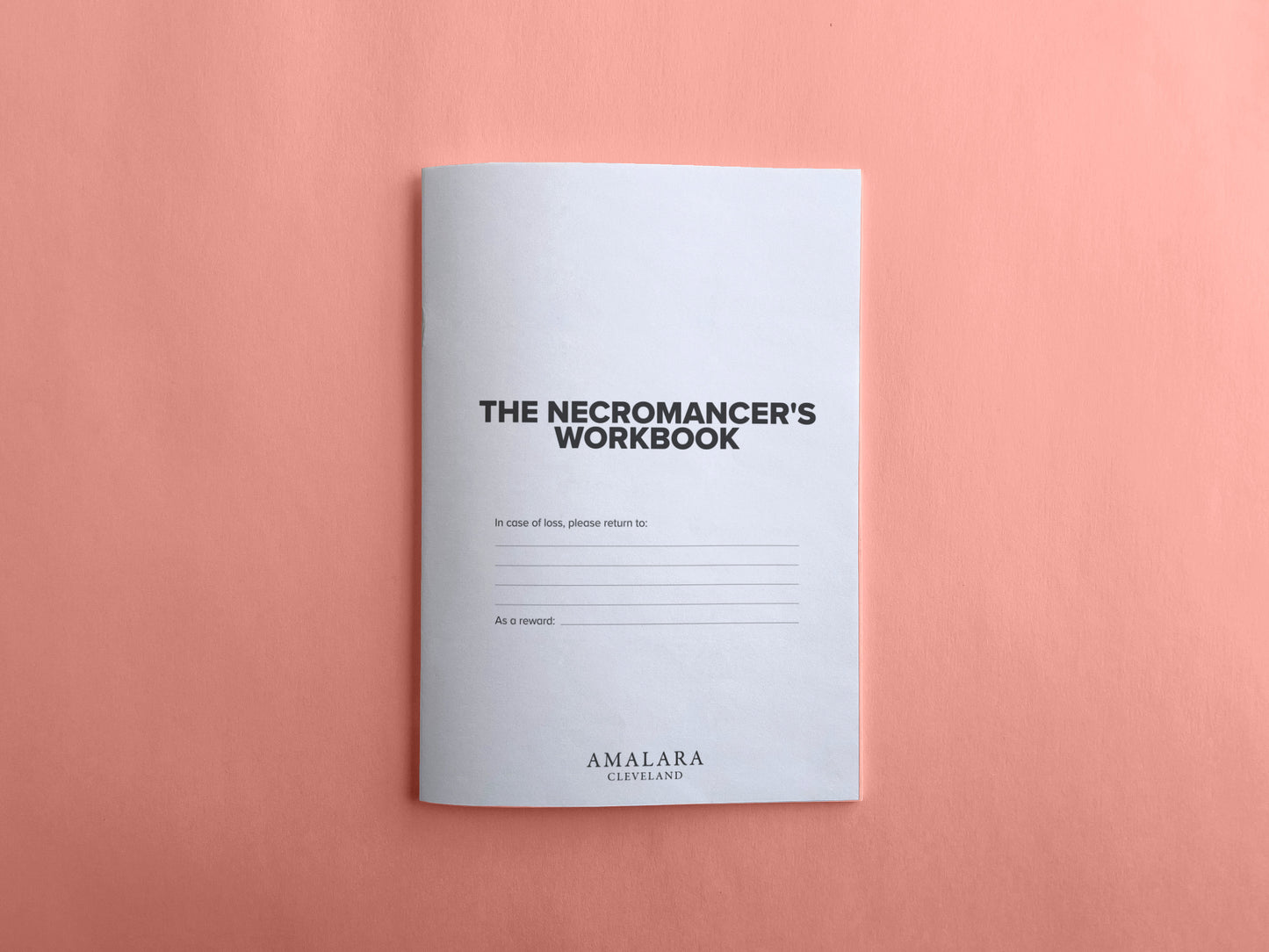 The Necromancer's Workbook